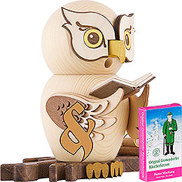 Bundle  -  Smoker Owl with Books plus one pack of incense