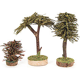 Mixed Trees  -  3 pieces  -  12,5cm / 4.9 inch
